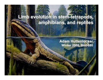 Limb evolution in stem-tetrapods, amphibians ... - Dr. Stuart Sumida