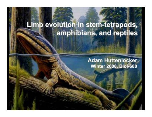 Limb evolution in stem-tetrapods, amphibians ... - Dr. Stuart Sumida