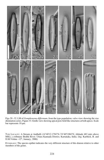 The diatom genus Gomphonema Ehrenberg in India: Checklist and ...