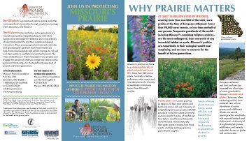 Membership Brochure - Missouri Prairie Foundation