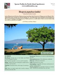 Thespesia populnea (milo) - Agroforestry Net