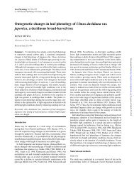 Ontogenetic changes in leaf phenology of Ulmus ... - Tree Physiology