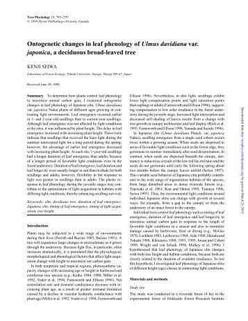 Ontogenetic changes in leaf phenology of Ulmus ... - Tree Physiology