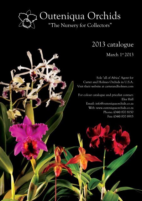 Catalogue - Outeniqua Orchids