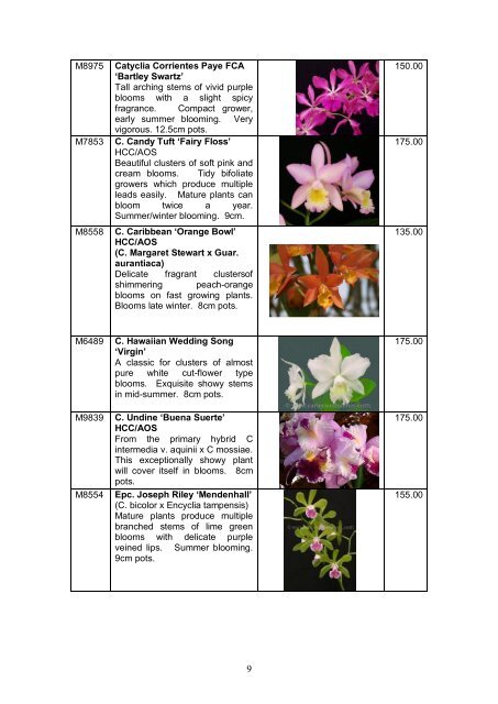 Catalogue - Outeniqua Orchids