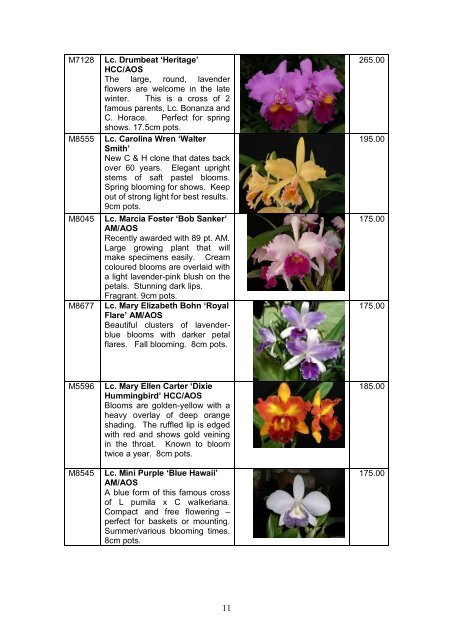 Catalogue - Outeniqua Orchids