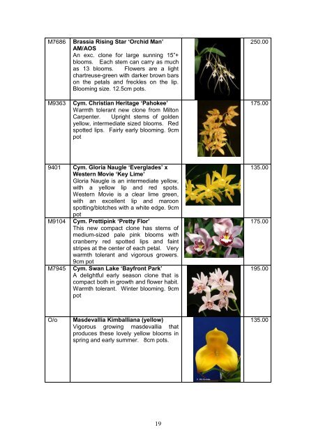 Catalogue - Outeniqua Orchids