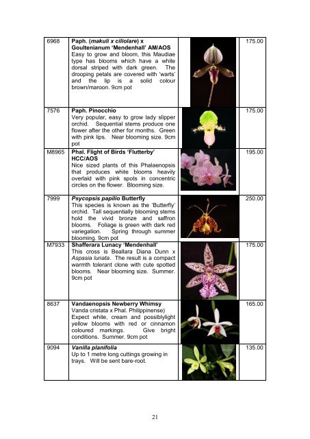 Catalogue - Outeniqua Orchids