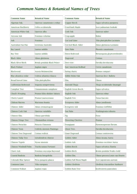 common names of trees