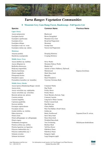 8 Mountain Grey Gum Damp Forest - Dandenongs Full list