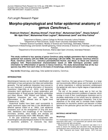 Morpho-playnological and foliar epidermal anatomy of genus ...