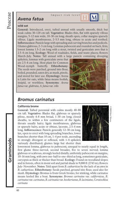 Plants of Casa Grande Ruins National Monument - NPS Inventory ...