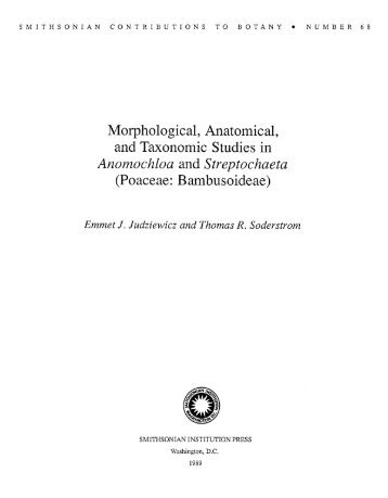 Morphological, Anatomical, and Taxonomic Studies in Anomochloa ...