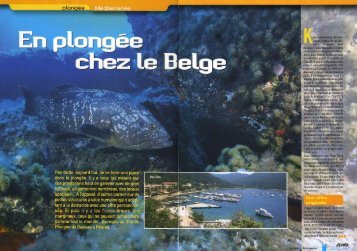 Téléchargez l'article au format PDF - Gîte de plongée du Gapeau