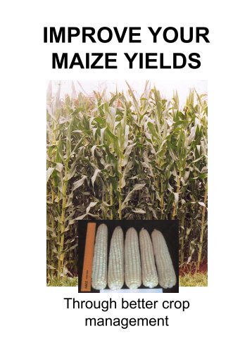 Improve your maize yields - Kenya Agricultural Research Institute
