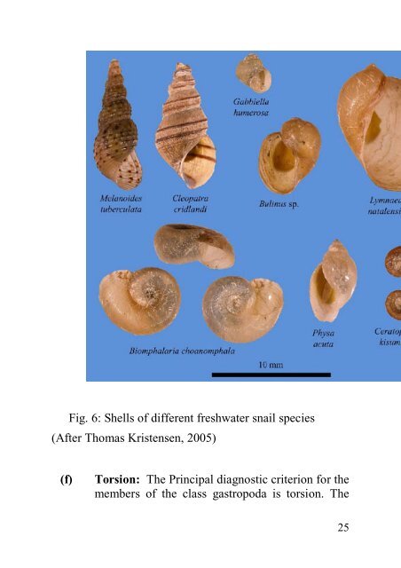THE VARIED ROLES OF SNAILS - National Universities Commission