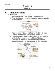 Z202 Unit04 Lecture.pdf - PorterMax