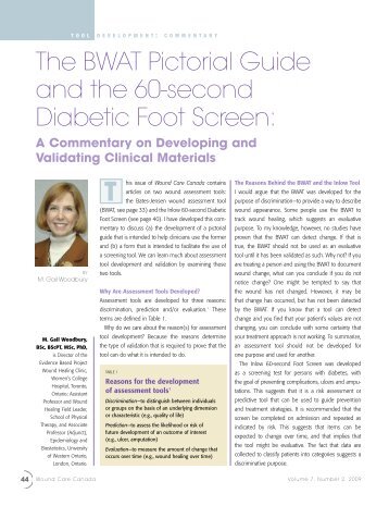 The BWAT Pictorial Guide and the 60-second Diabetic Foot Screen: