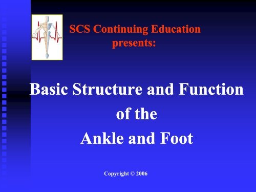 Basic Structure and Function of the Ankle and Foot - Home