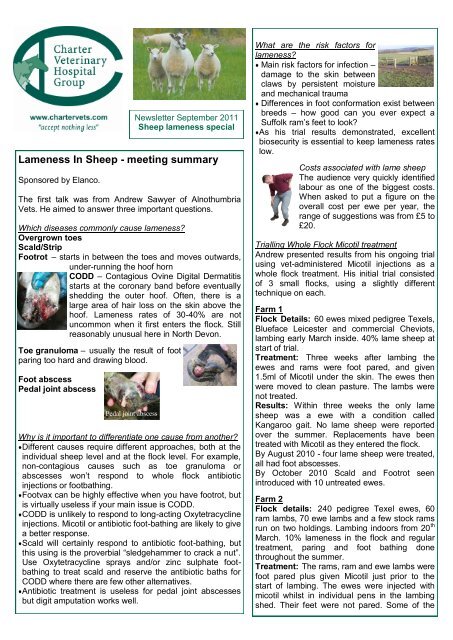 Excellent Sheep Summary