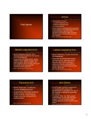 Foot Injuries Arches Medial Longitudinal Arch Lateral Longitudinal ...