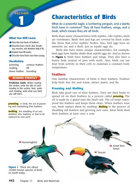 Reptile Scales, Bird Feathers, Mammal Hairs E