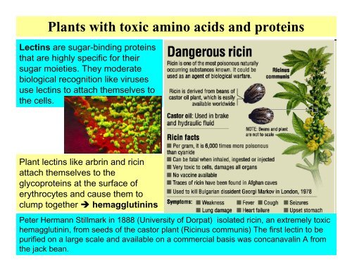 Plants with toxic alkaloids - University of Washington