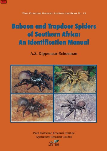 Baboon and Trapdoor Spiders of Southern Africa: An Identification ...