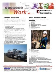 FLINT ENERGY SERVICES LTD. - Palliser Economic Partnership