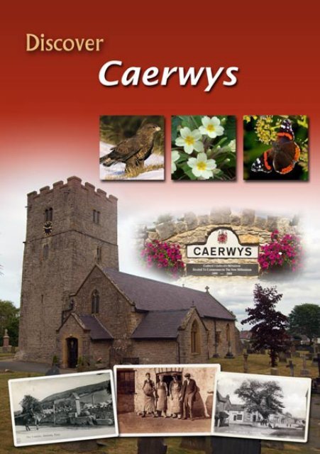 Caerwys Eng.indd - Flintshire County Council
