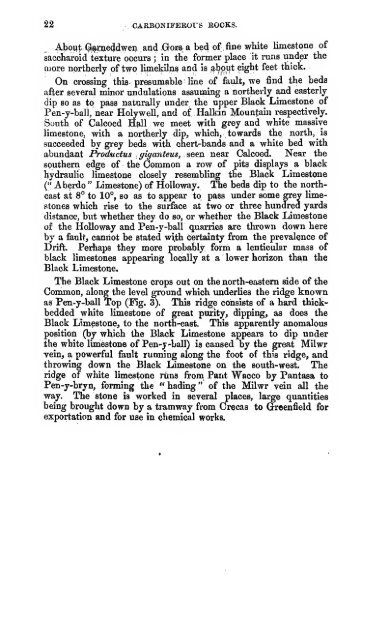 The geology of the neighbourhoods of Flint, Mold, and Ruthin ...