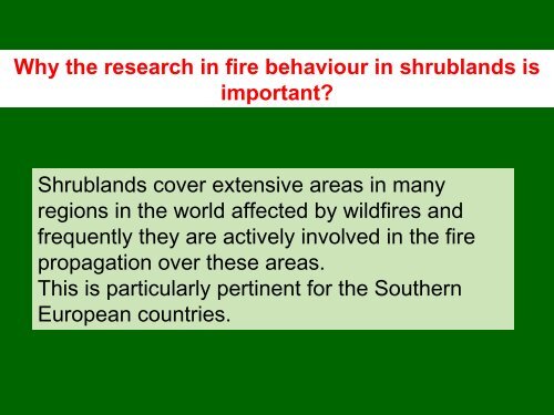 fire propagation models