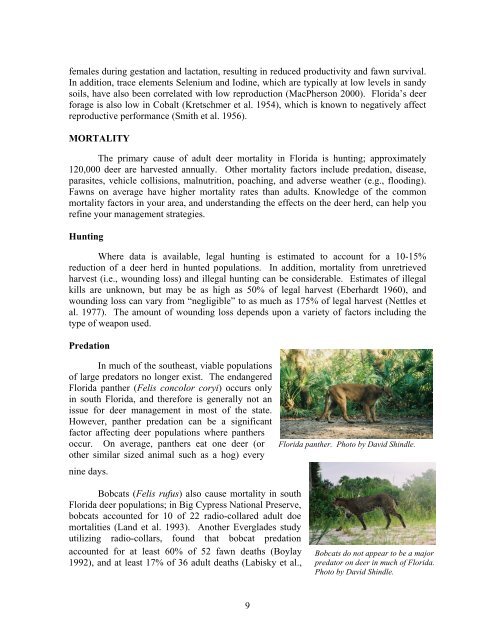 Ecology and management of white-tailed deer in - Florida Fish and ...