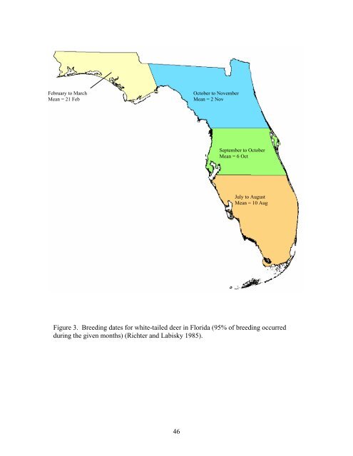 Ecology and management of white-tailed deer in - Florida Fish and ...