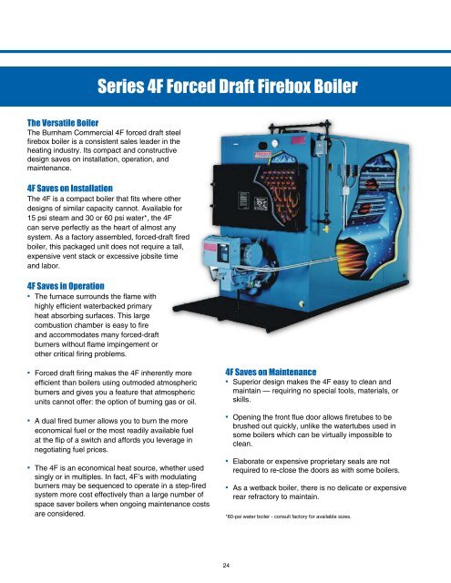 Firetube Boilers and Accessories