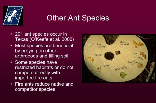 Imported Fire Ants, Competitor Ants and Impact of - eXtension