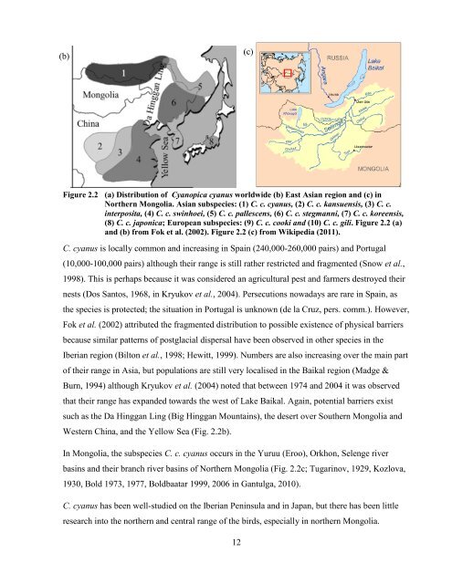 Habitat use and population dynamics of the Azure-Winged Magpie ...