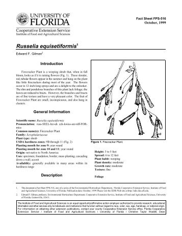 UF Fact Sheet - Environmental Horticulture - University of Florida