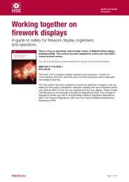 HSG123: Working together on firework displays - Health and Safety ...