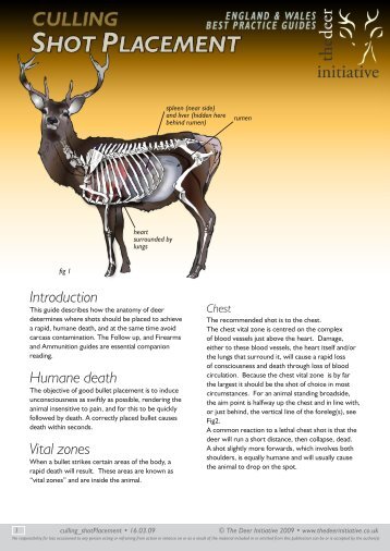 Shot Placement - The Deer Initiative