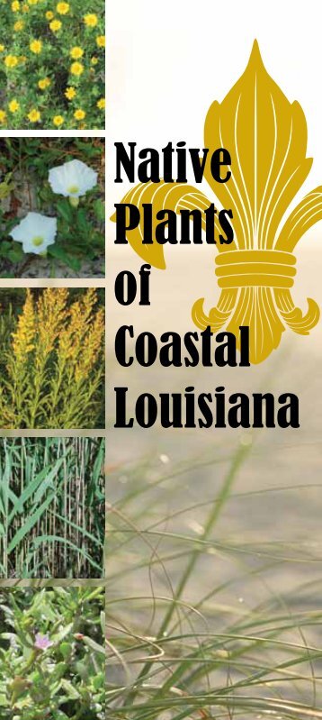 Native Plants of Coastal Louisiana - Bayou Land RC&D