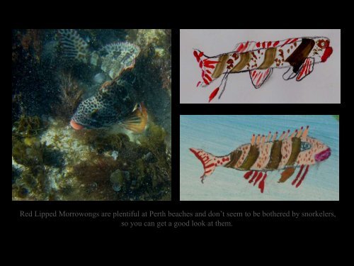 Ocean Environmental Art Workshop - Angela Rossen