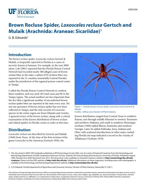 Brown Recluse Spider, Loxosceles reclusa Gertsch and Mulaik ...