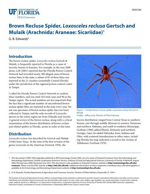 Brown Recluse Spiders  Nebraska Extension in Lancaster County