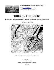 TRIPS ON THE ROCKS - Hofstra People - Hofstra University