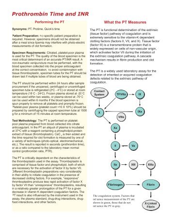 Prothrombin Time and INR - Pathology