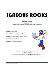IGNEOUS ROCKS - Math/Science Nucleus