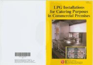 LPG Installations for Catering Purposes in Commercial Premises