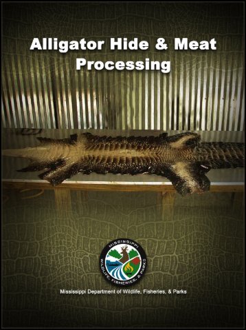 Alligator Hide & Meat Processing Instructions
