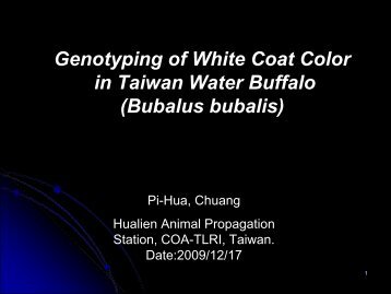 Genotyping of White Coat Color in Taiwan Water Buffalo (Bubalus ...